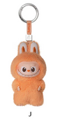 THE MONSTERS - Labubu V4 - Pin For Love Vinyl Plush Pendant A-M (Blind Box)