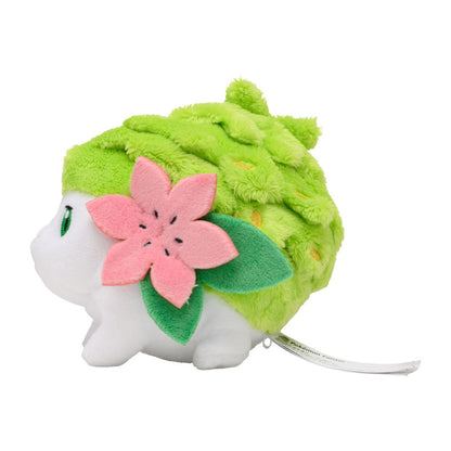 Pokemon Fit Plushies - Pokemon Center Japan